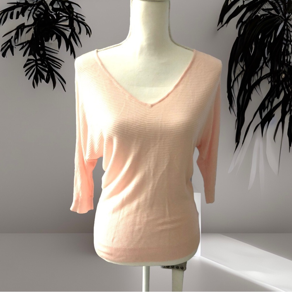 EXPRESS SOFT PINK V NECK SWEATER WITH STUDS